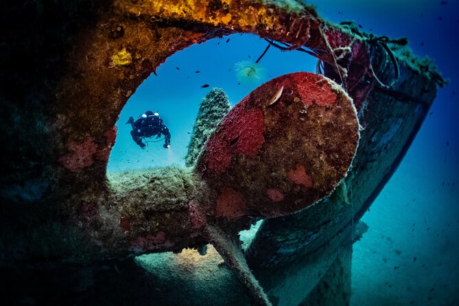 2 Scuba Fun Dives for Certified divers in St Paul's Bay - Key highlights worth noticing