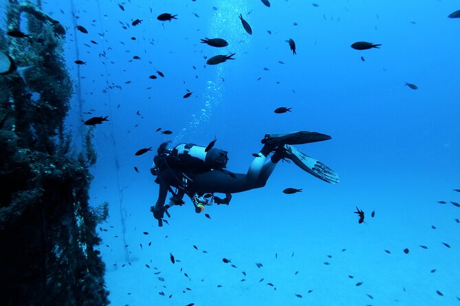 2 Scuba Fun Dives for Certified divers in St Paul's Bay - Two fun scuba sessions in St Paul’s Bay, not a one-size-fits-all day