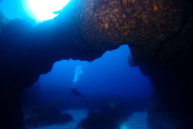 2 Scuba Fun Dives for Certified divers in St Paul's Bay - Instruction that matches you, not the other way around