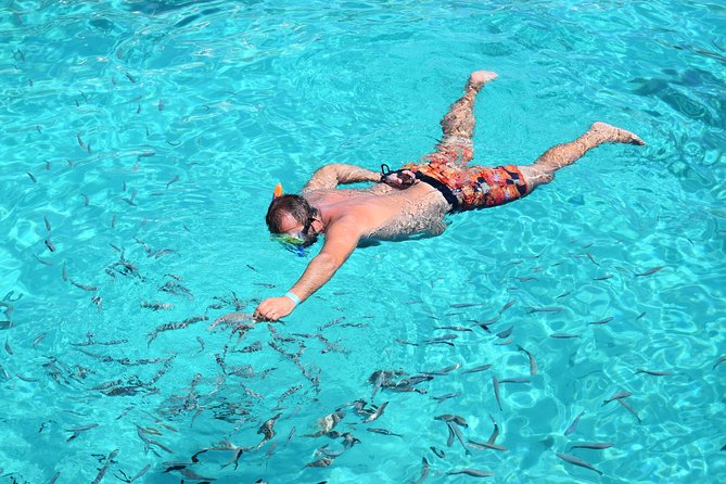 Blue Lagoon, Beaches and Bays Catamaran Sailing Tour - Your Swim Stops Can Change, But Blue Lagoon Is Locked In