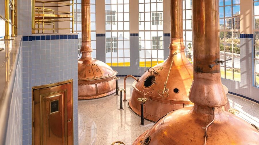 Brewery Experience with Beer Tasting and Optional Transport - Price and value: why $18 makes sense if you want real beer time