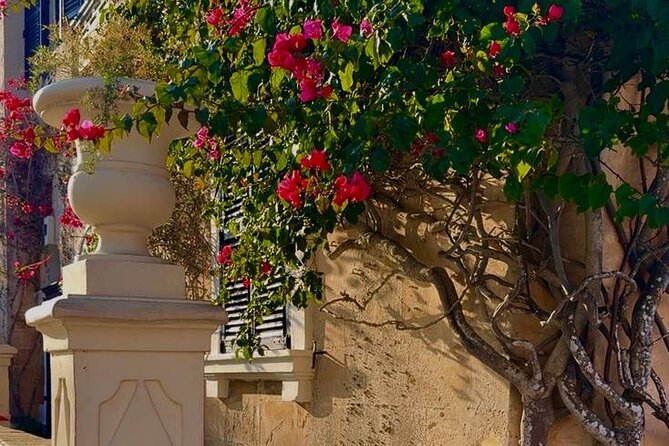 Cruise liner Deal Half Day Malta Private Tour - Who This Tour Fits Best (Families, First Timers, and Small Groups)
