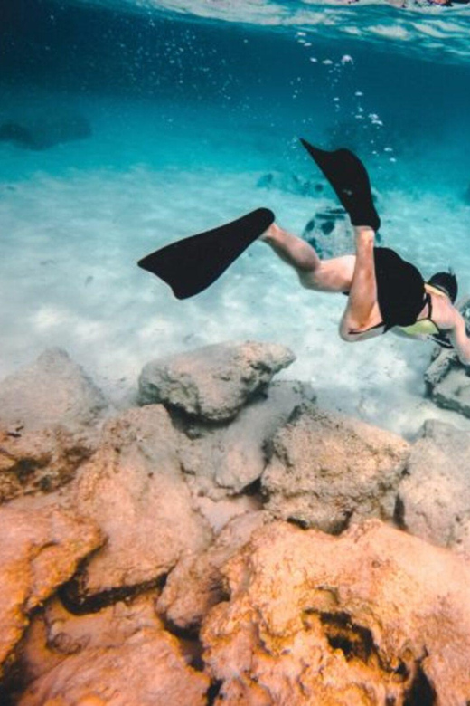 DiveSnap Underwater Sports Thrills:Lantern Point & P31 Wreck - Comino’s Blue Lagoon, why the “less crowded” pitch is real