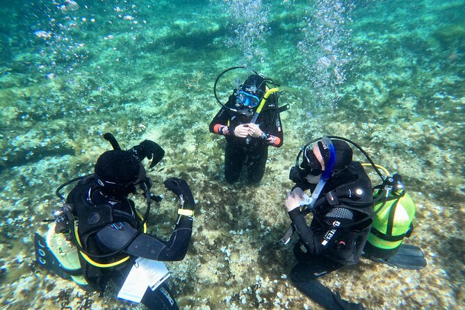 Diving experience in Malta - Malta’s first scuba session at OrangeShark, with calm coaching