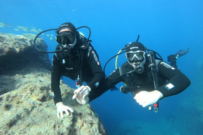 Diving experience in Malta - Who should book this Malta scuba experience, and who should reconsider