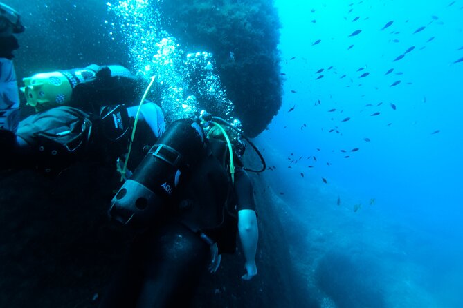 First Experience Scuba Diving - A first-time scuba tryout that starts before you hit the water