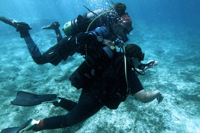 First Experience Scuba Diving - Two shallow shore sessions, with coaching you can actually use