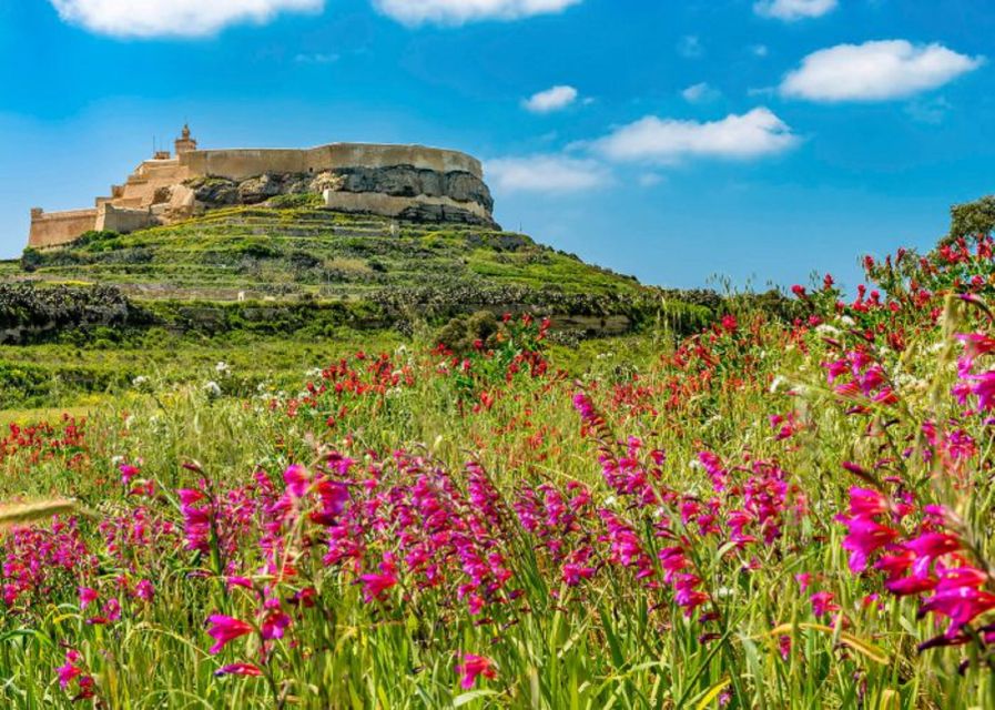 From Malta: Gozo Full-Day Tour with Guide, Temples, & Train - From Malta pickups to the ferry: the part you don’t have to plan