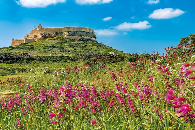From Malta: Gozo Jeep Tour with Lunch and Hotel Transfers - Xlendi and the Dwejra region: where the scenery turns into geology