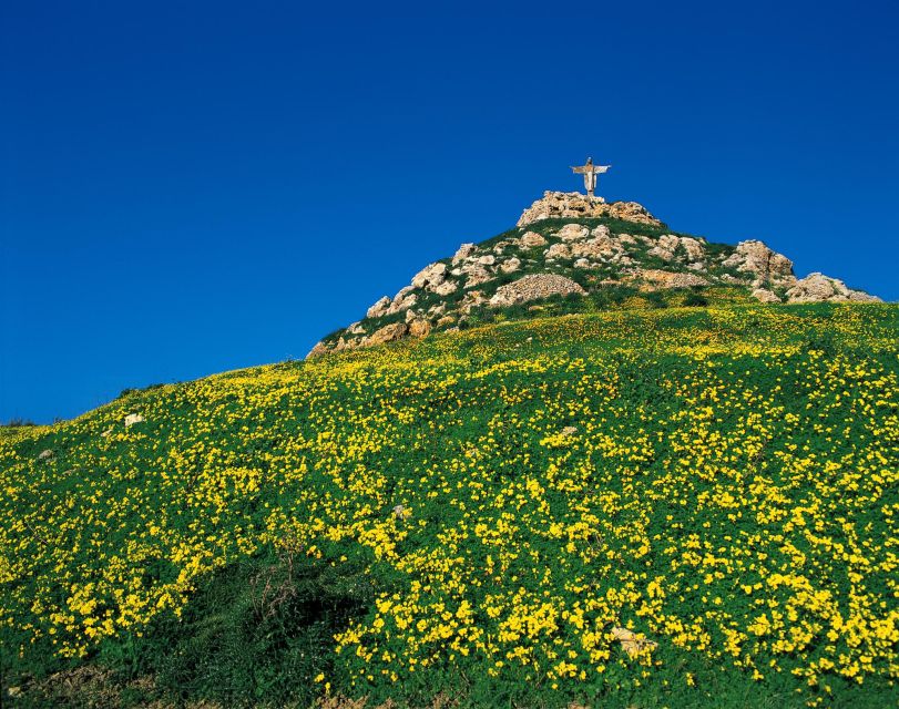 From Sliema or Bugibba: Gozo Heritage Day Pass - Using the hop-on hop-off buses like a pro (purple Route 1 and blue Route 2)