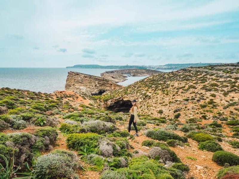 From Sliema: Round Malta Cruise with Lunch and Transfers - Lunch on board: cold buffet, unlimited drinks, and why it’s good value