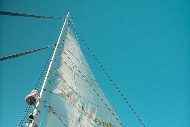 Full-Day Catamaran Cruise with Lunch in Island of Malta - Price and What You’re Really Paying For