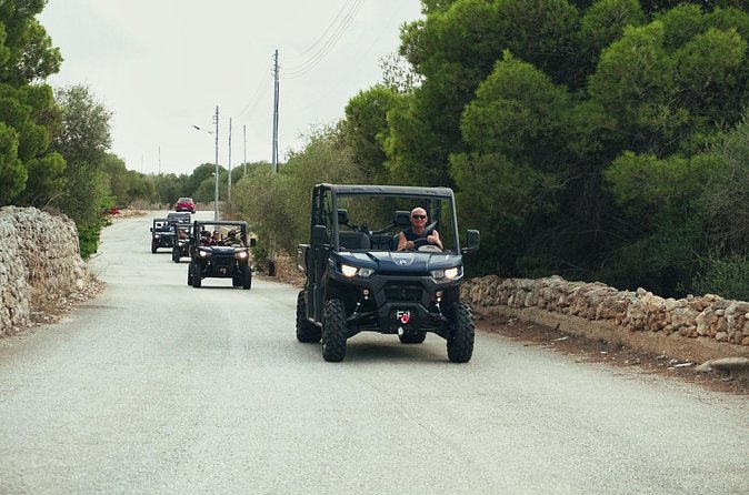 Gozo Full Day UTV Tour with Private Boat to Gozo and Return - Ggantija Temples: optional, but worth the thought before you pay