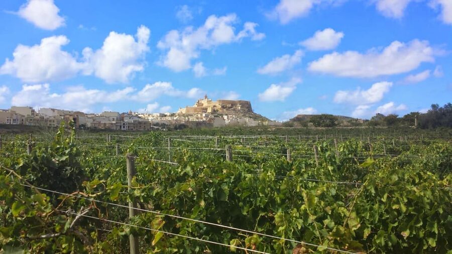 Gozo Victoria Walking Tour - Where the walk begins: St Francis Square, right by the action