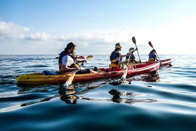 Guided Kayak Tour in St Paul's Island - What to bring: wet shoes, water, and sun protection that actually helps