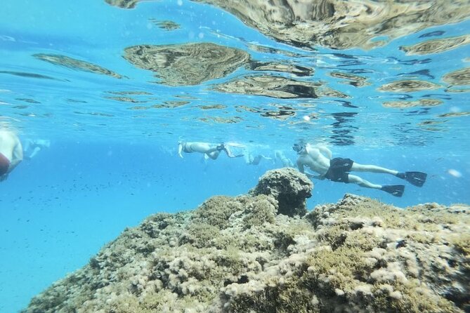 Guided Snorkeling Excursion in Malta - Key points to know before you go