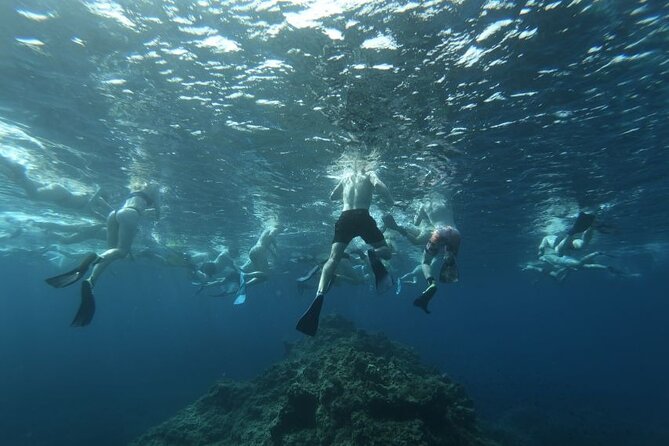 Guided Snorkeling Excursion in Malta - How this snorkeling route fits Malta’s coast