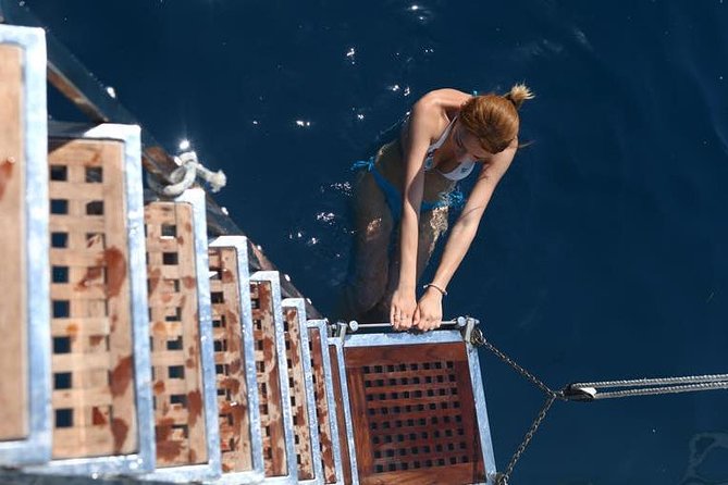 Hera Round Malta & Comino Blue Lagoon - The Sliema Departure: Cruise All Around Malta’s Coast