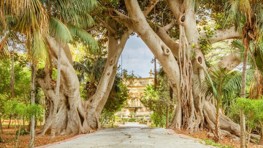 Highlights of Malta Tour:Icons and Experiences of the Island - Mdina’s walled-city lanes: the slow-burn contrast