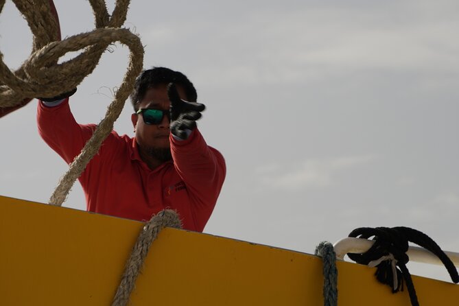 Highspeed Catamaran Crossing Between Malta and Gozo - Should you book Gozo Highspeed?