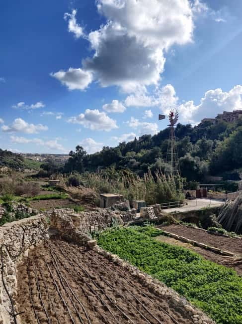 Island of Gozo: Private Tour - Ta’Pinu Basilica and Wied il-Mielaħ Window: big landmarks, clear moments