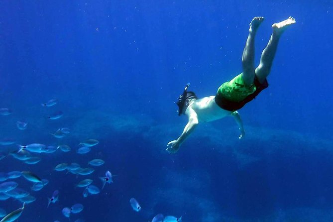 Kayak Gozo and Comino Guided Kayak Adventure - Comino Without the Tourist Traffic: How Blue Lagoon Works Here