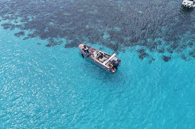 Luxury RIB Tour in Gozo Coast, Blue Lagoon and Comino Caves - The P31 wreck: snorkeling a man-made reef with real visibility