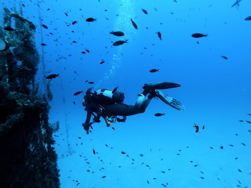 Malta: 2 Scuba Fun Dives for Certified divers - Malta’s Water Visibility Is the Real Star