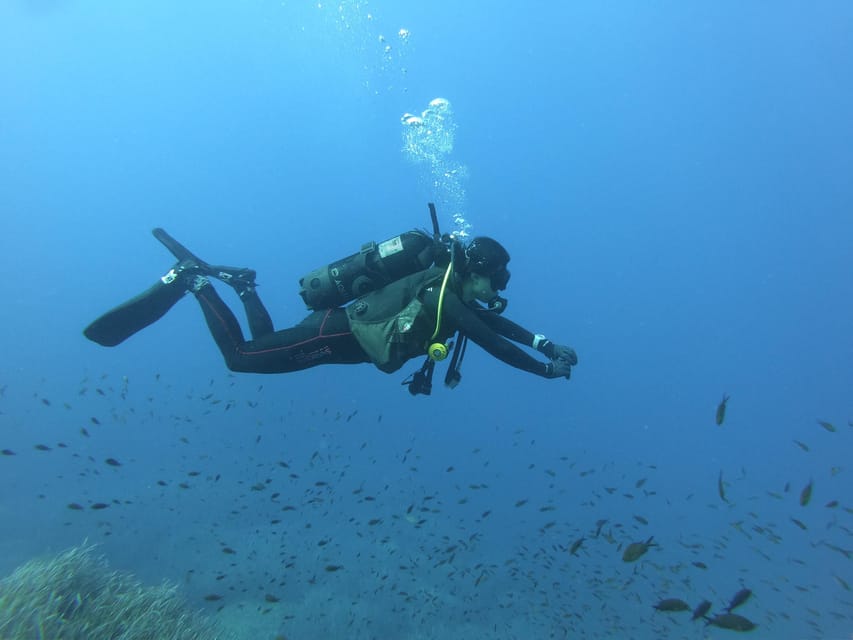 Malta: 2 Scuba Fun Dives for Certified divers - Who Should Book This, and Who Should Pass