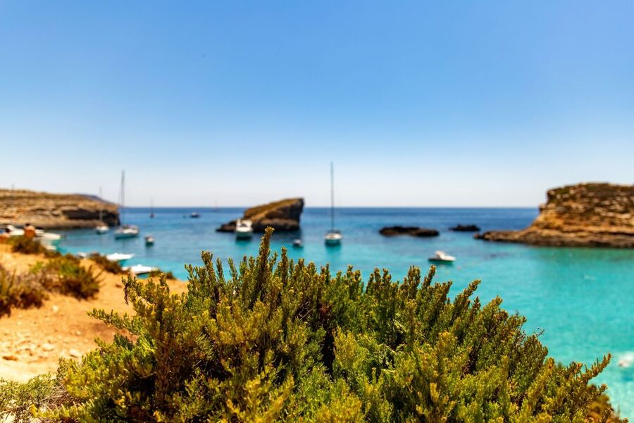 Malta: Comino Blue Lagoon Boat Tour, Sea Caves & Swim Stops - Key points worth knowing before you go