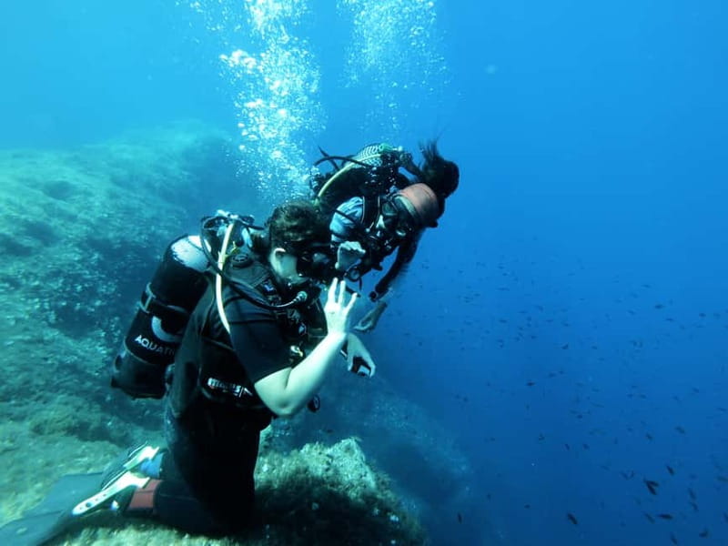 Malta: First Experience Scuba Diving Lesson - Online Prep That Actually Matters (Theory Before the Water)