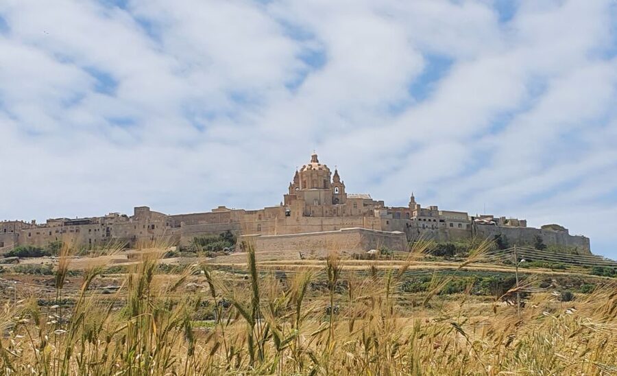 Malta: Mdina and Rabat Tour with Local Guide - Who this tour is perfect for, and who might skip it