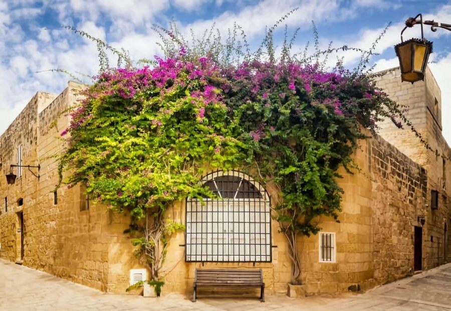 Malta: Mdina, Dingli Cliffs and San Anton Botanical Gardens - How the 4 hours actually feel, including free time and pace