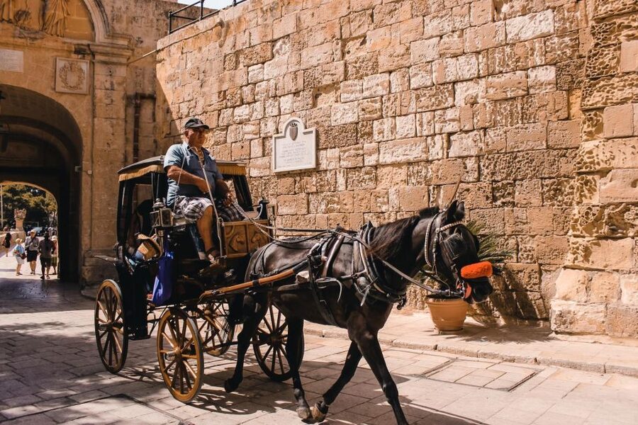 Malta: Mdina, Dingli Cliffs and San Anton Botanical Gardens - Should you book: Mdina, Dingli Cliffs, and San Anton Gardens