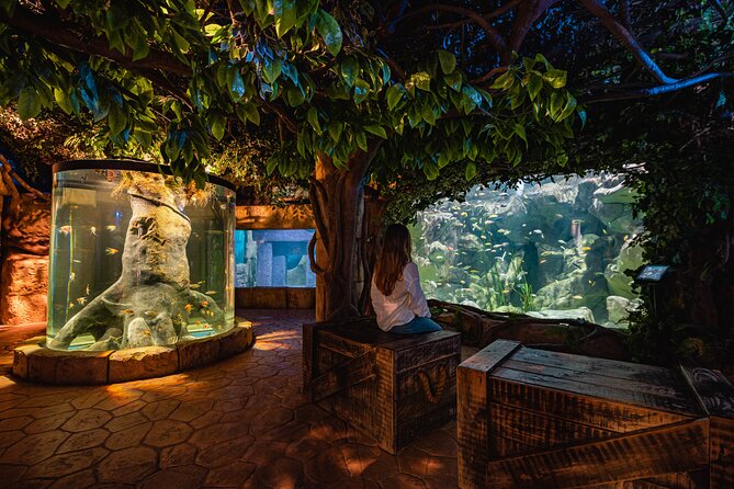 Malta National Aquarium Entrance Ticket - Malta National Aquarium in Saint Paul’s Bay: quick first impressions