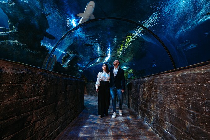 Malta National Aquarium Entrance Ticket - Sharks, rays, eels, and the Indo-pacific main tank lineup