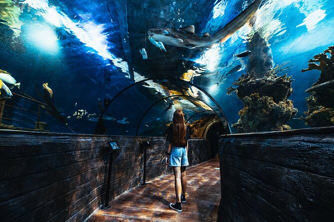 Malta National Aquarium Entrance Ticket - Ticket price and timing: how long should you plan?