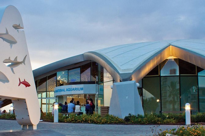 Malta Private Minivan Tour: Popeye village/Mdina/Valletta & Many More - Stop 2, Malta National Aquarium for About an Hour: Fun, Practical, and Time-Bound