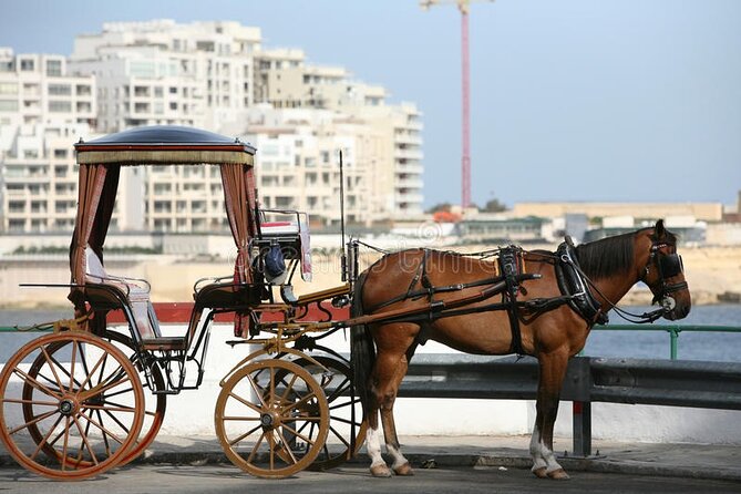 Malta Private tour: 5hr Mosta Dome, Mdina, Dingli Cliff's & Blue Grotto - The Driver Factor: History Notes and Real Flexibility