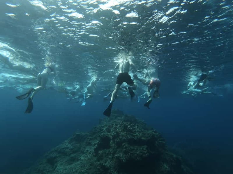 Malta: Snorkeling Tour - Where You Swim: Reefs, Caves, Shipwrecks, and Places Like Anchor Bay