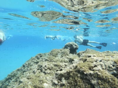 Snorkeling Tour