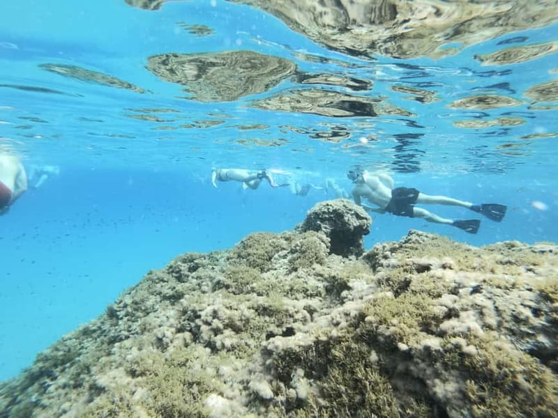 Malta: Snorkeling Tour - The 150-Minute Flow: Briefing, Gear, Transport, and 1 Hour in Water
