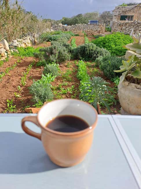 Malta: Soap Making Workshop - Should you book this Malta soap making workshop?