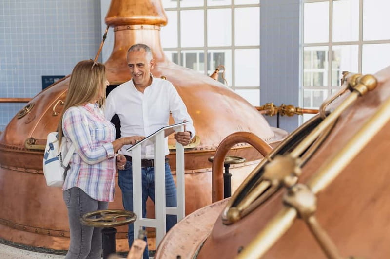Malta: The Brewery Experience & Beer Tasting with Transfers - Key Points If You’re Short on Time