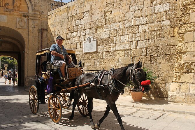 Malta Tour the Unveiling Island Treasures - Price and value: $84.02, plus a realistic grotto budget