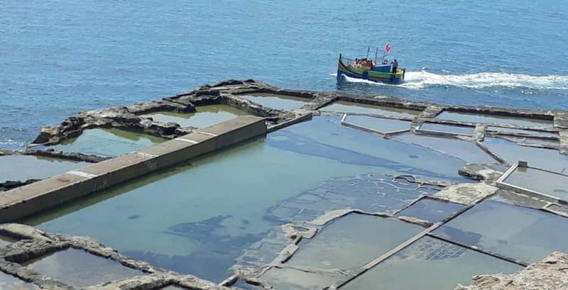 Marsaxlokk and Delimara Coast Boat Trip : incl. St.Peter's - St. Peter’s Pool: “included” can mean pass-by, not always a long stop