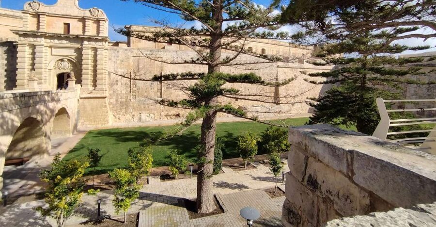 Mdina and Rabat: Guided City Walking Tour - Mdina at walking speed, then Rabat’s neighborhood feel