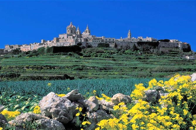 Mdina, Dingli cliffs and San Anton Gardens guided tour - Guide quality can make or break the pacing