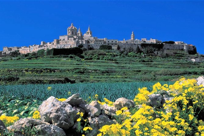 Mdina, Rabat, Dingli cliffs, San Anton gardens, Ta' Qali & Mosta guided tour - Key Things to Know Before You Go