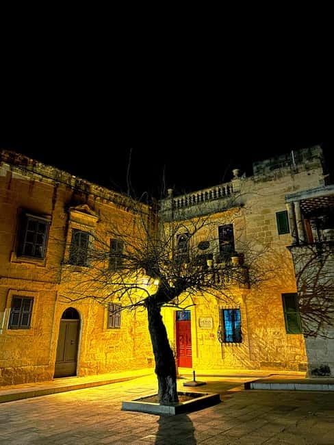 MEDIEVAL MDINA – Power, Blood, Betrayal Walking Tour - Who should book this and who should skip it